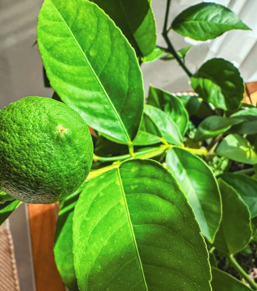 Campus_Hochbegabung_-41