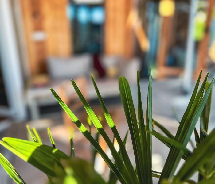 Campus_Hochbegabung_-95